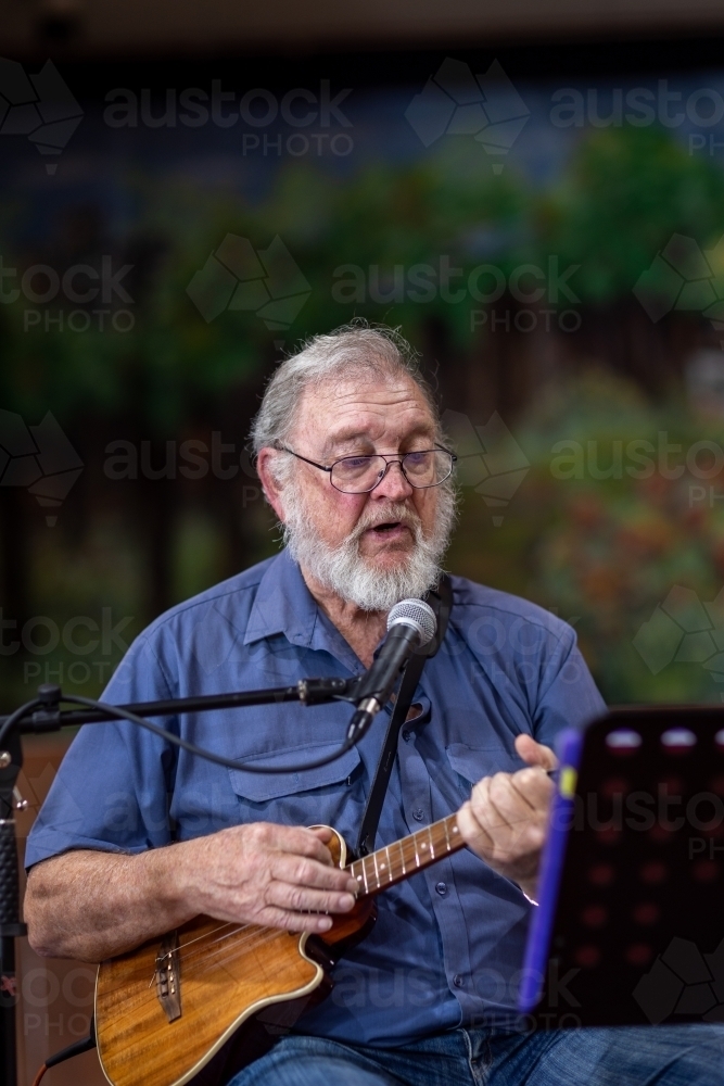 elderly gentleman playing ukulele and singing into microphone - Australian Stock Image