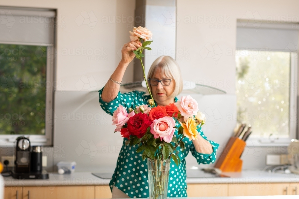 elderly lady arranging roses in vase in kitchen - Australian Stock Image