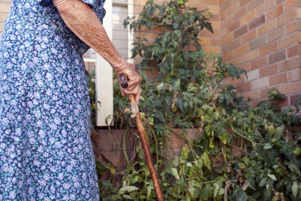 Elderly lady inspecting the garden at an aged care facility - Australian Stock Image