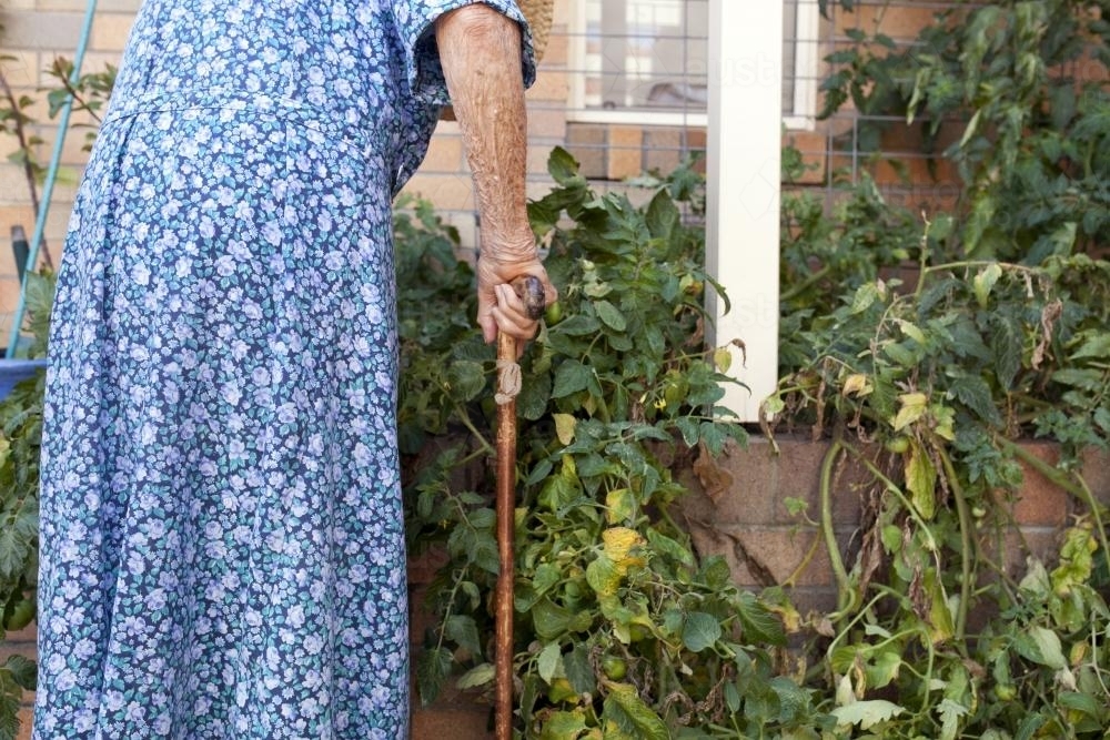 Elderly lady inspecting the garden at an aged care facility - Australian Stock Image