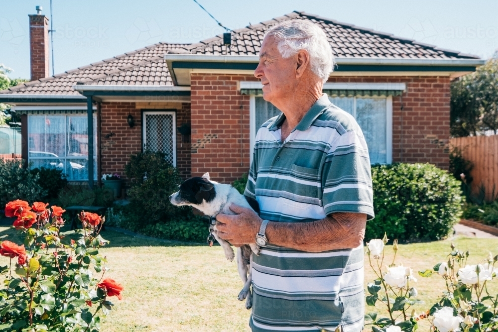 Elderly man and little dog watching outside their home. - Australian Stock Image