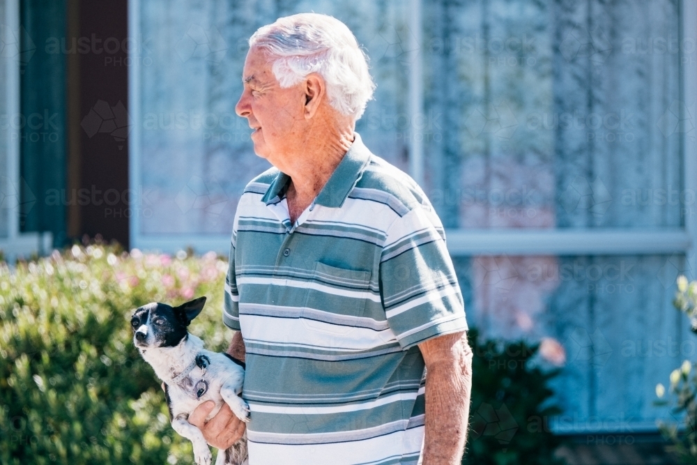 Elderly man crosses road carrying little dog. - Australian Stock Image