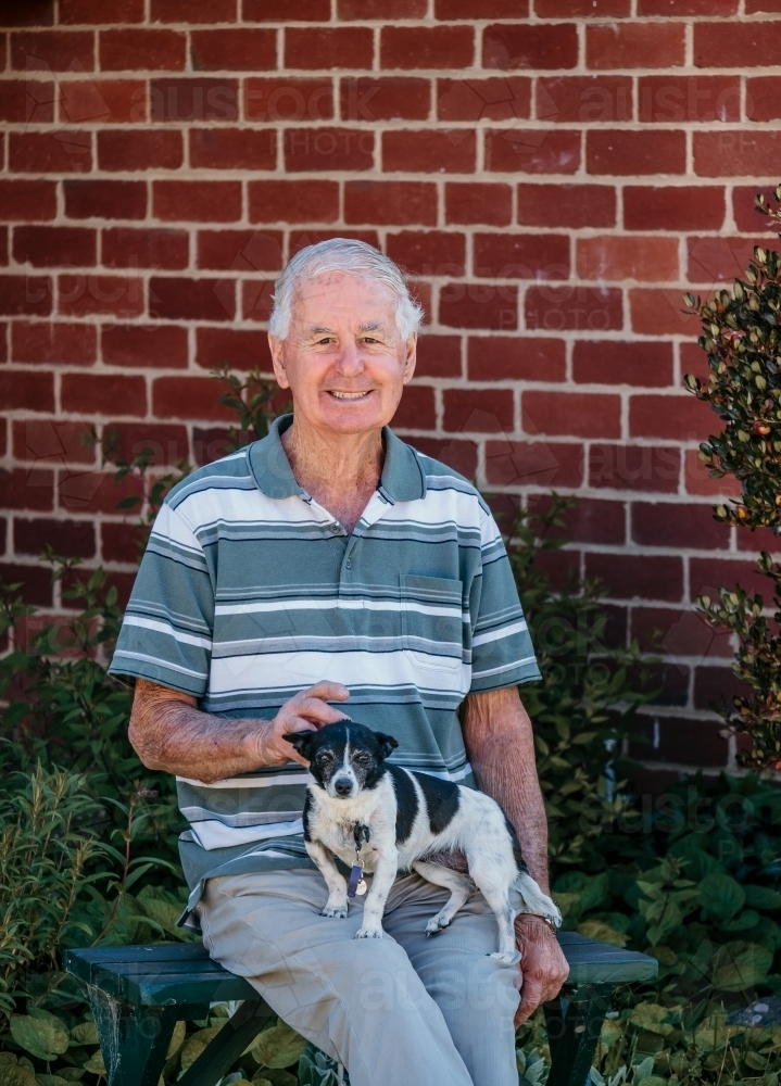 elderly man patting his little dog. - Australian Stock Image