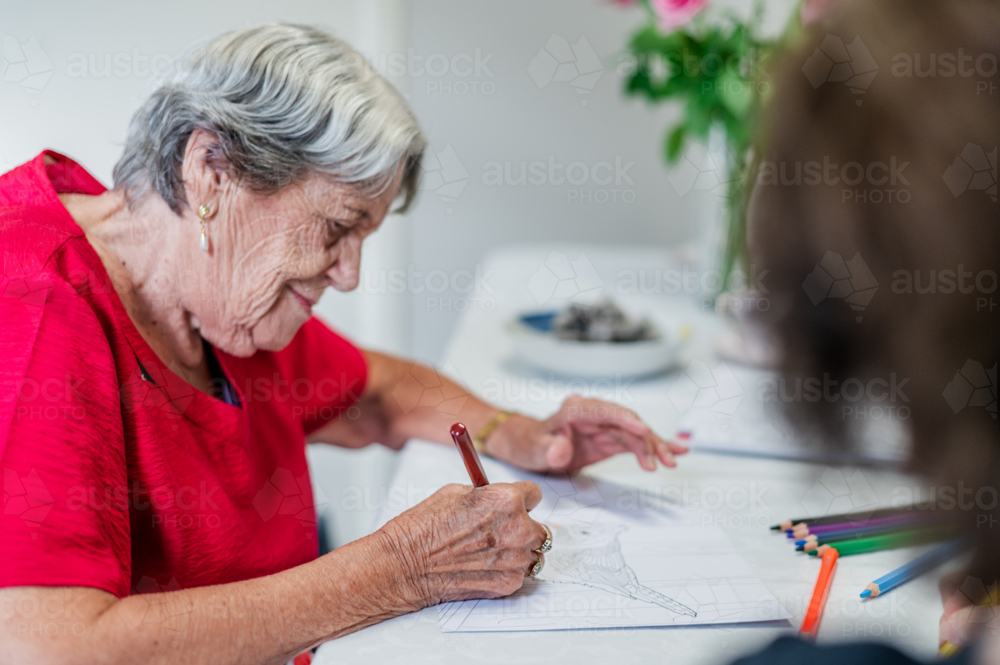 Elderly woman colouring a bird illustration on the table - Australian Stock Image
