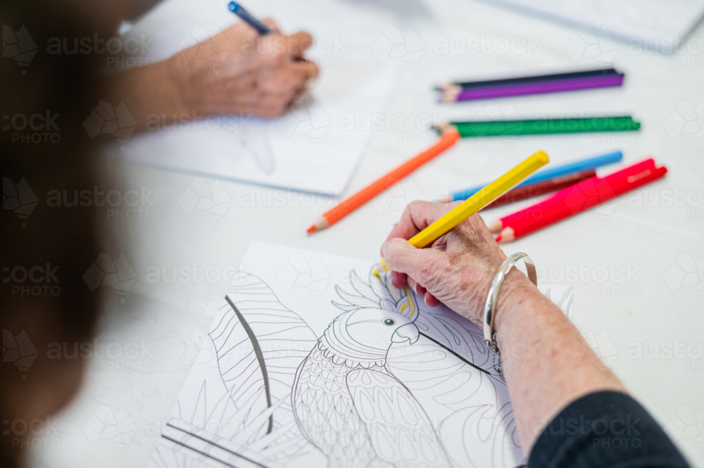 Elderly womans hand colouring a bird illustration on a paper on the table - Australian Stock Image