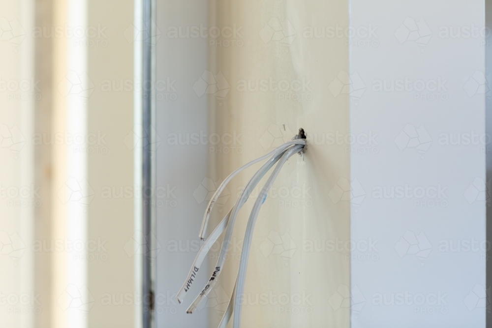 Electrical cables protruding through wall in new home during construction - Australian Stock Image