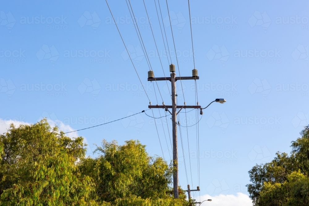 Electricity wires and power pole above trees with blue sky - Australian Stock Image