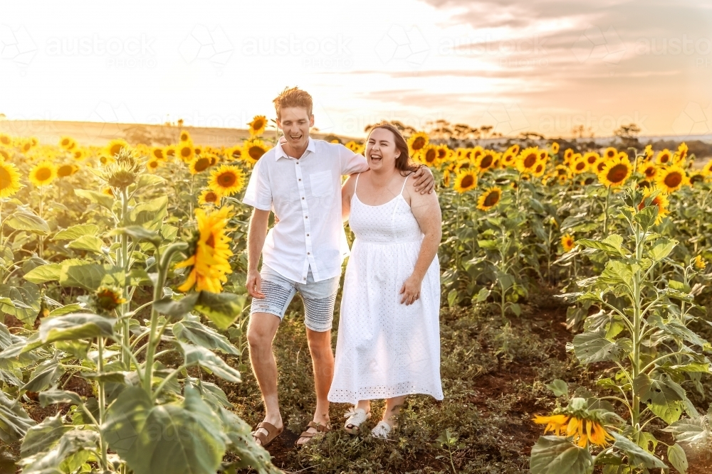 Engaged couple walking through sunflower paddock at sunset laughing - Australian Stock Image