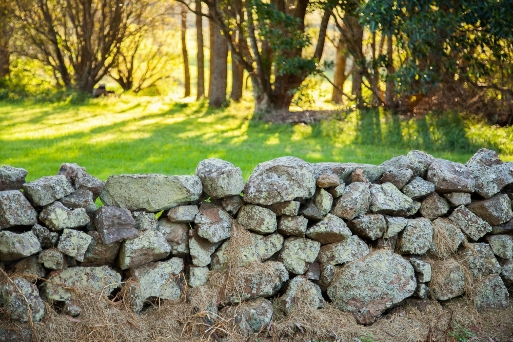 English looking stone fence into green paddock - Australian Stock Image