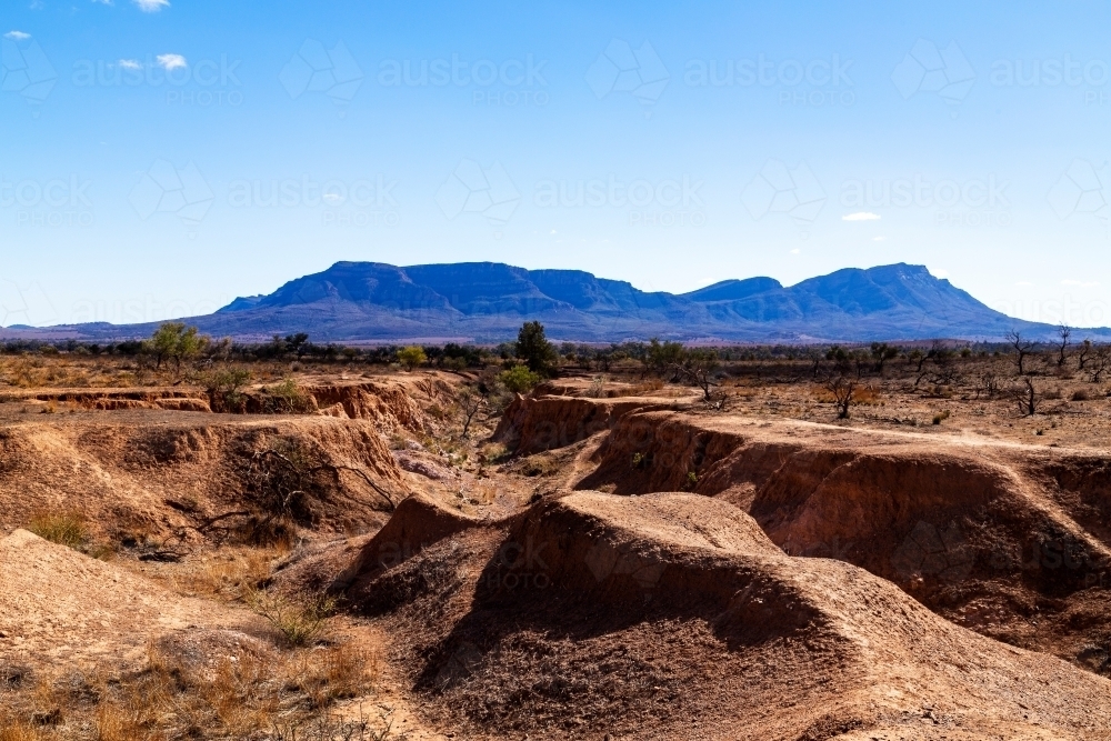 eroded waterways with Wilpena Pound in background - Australian Stock Image