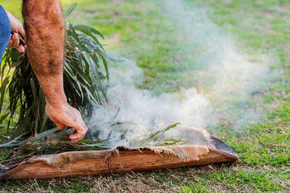 Eucalyptus gum leaves for smoking welcome ceremony at NAIDOC Week event - Australian Stock Image