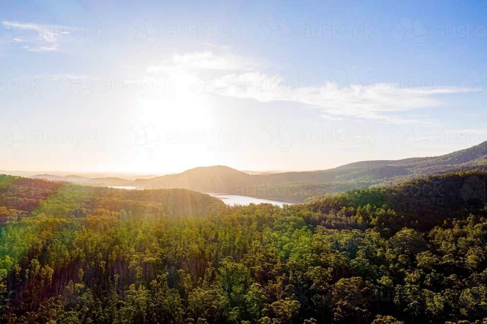 Eucalyptus landscape over Maroondah Reservoir - Australian Stock Image