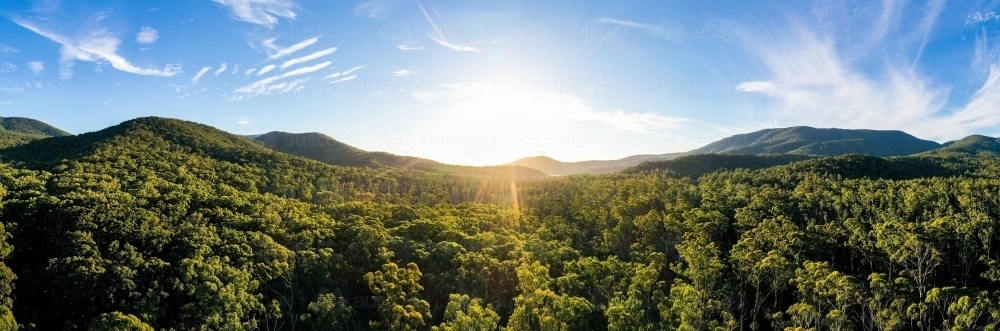 Eucalyptus landscapes - Australian Stock Image