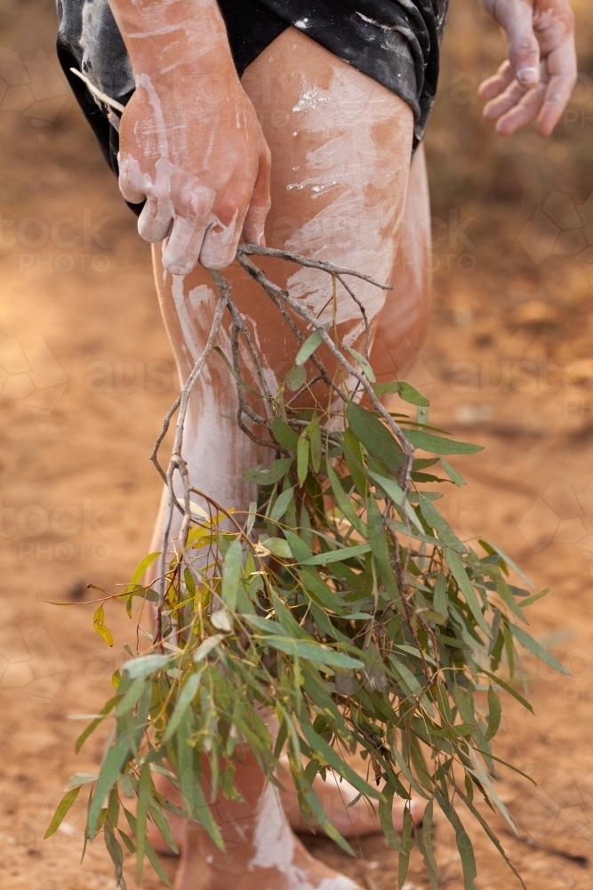 Eucalyptus leaves held in aboriginal dancers hands - Australian Stock Image