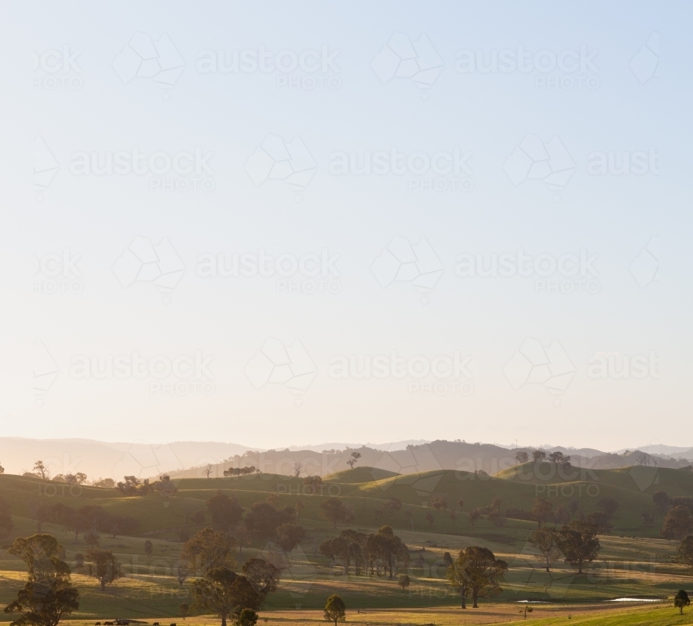 Evening light over undulating high country landscape - Australian Stock Image