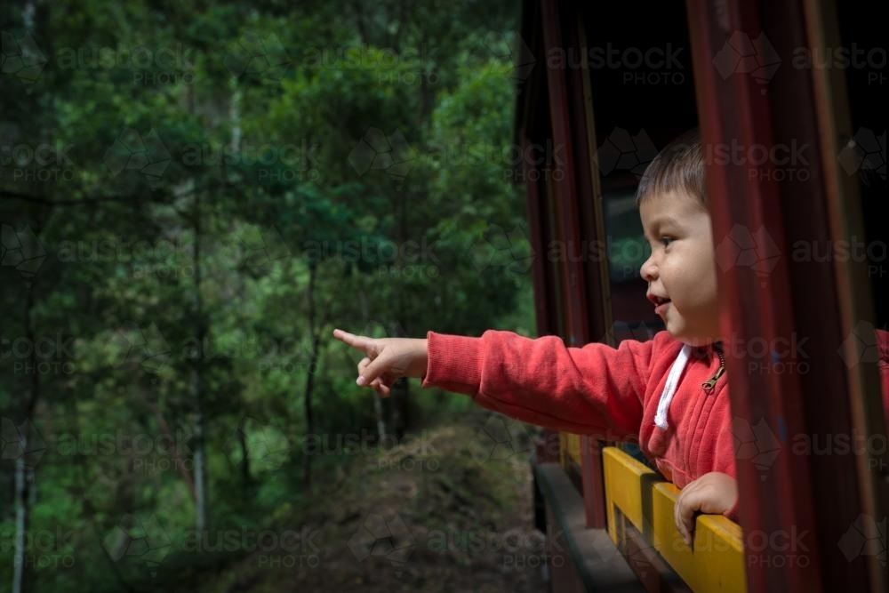 Excited 2 year old mixed race boy cheerfully rides the Walhalla historic train - Australian Stock Image