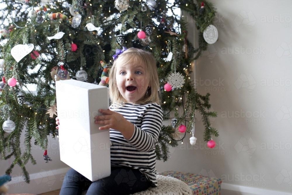 Excited young girl with present in front of Christmas tree - Australian Stock Image