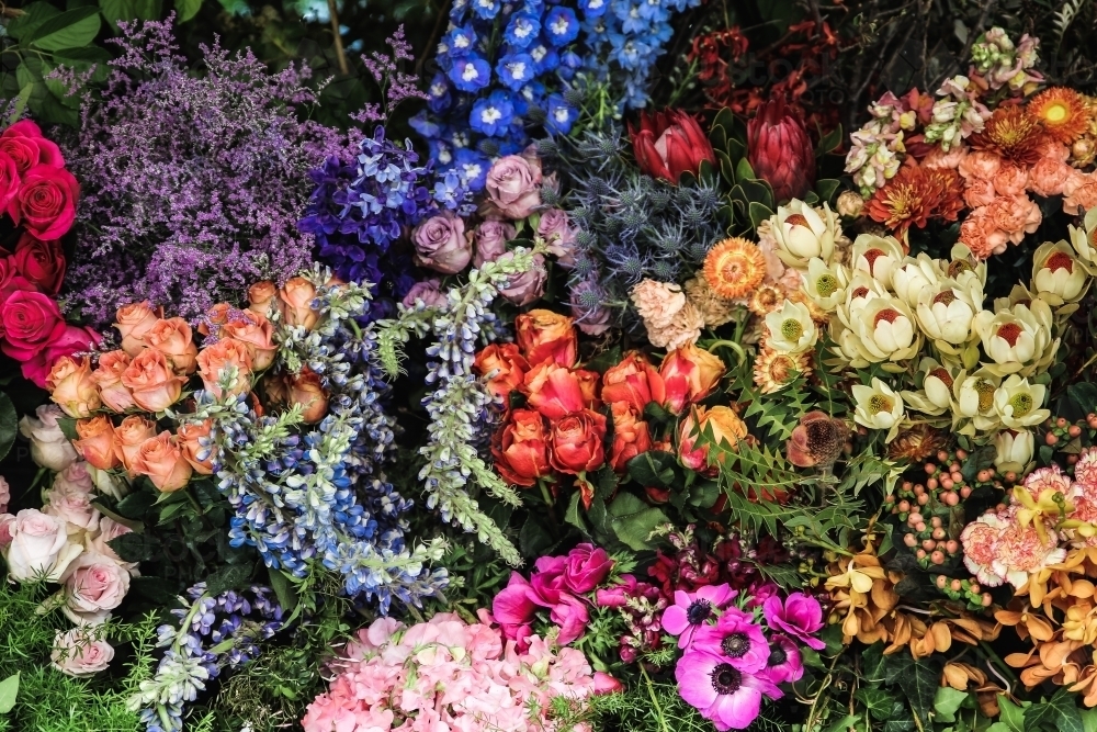 Extra Large bunch of colourful flowers - Australian Stock Image