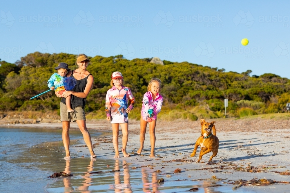 Family at the seaside with their pet dog - Australian Stock Image