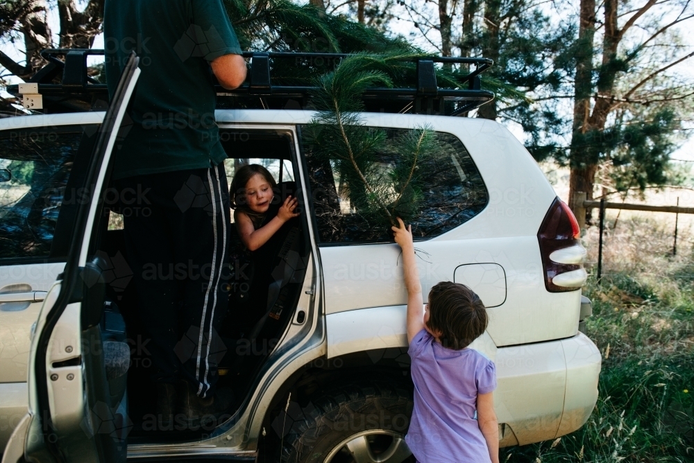 Family collecting Christmas tree - Australian Stock Image
