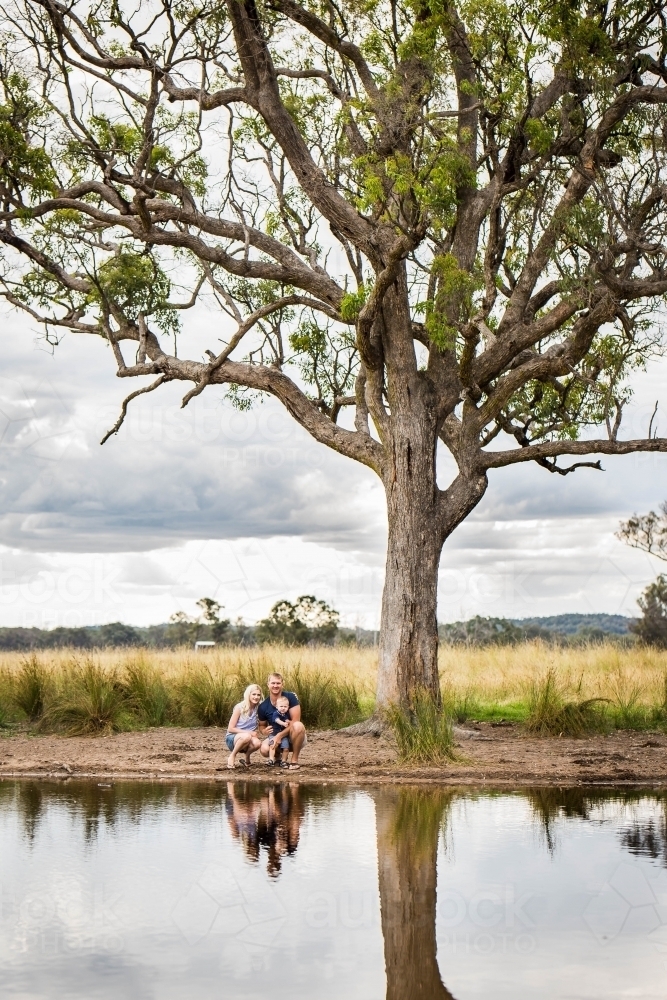 Family crouching near water of dam in paddock with large tree - Australian Stock Image