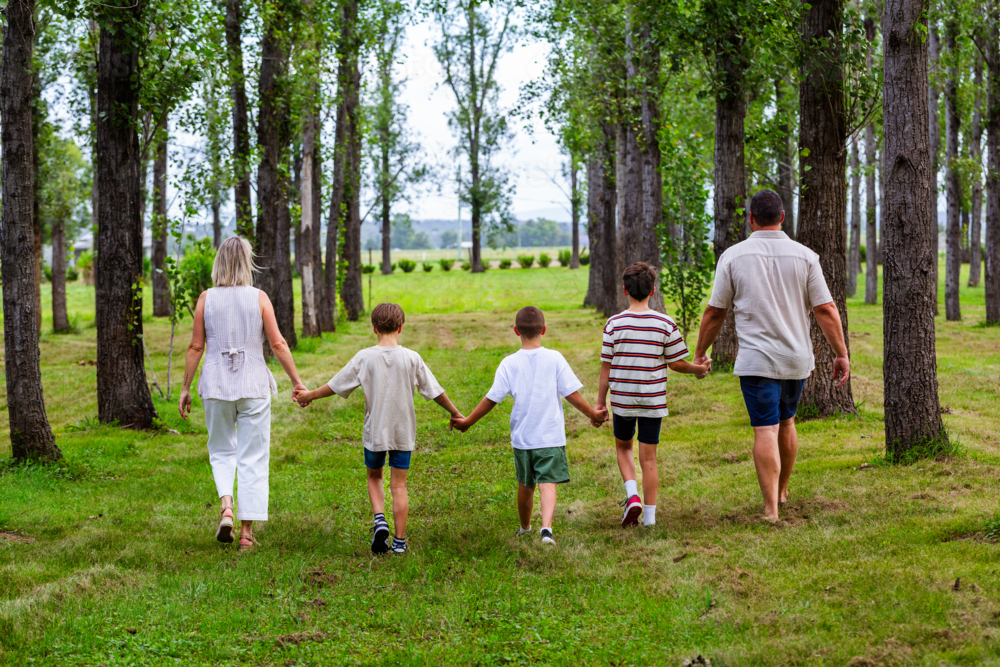 Family of five with three boys holding hands and walking away through trees - Australian Stock Image