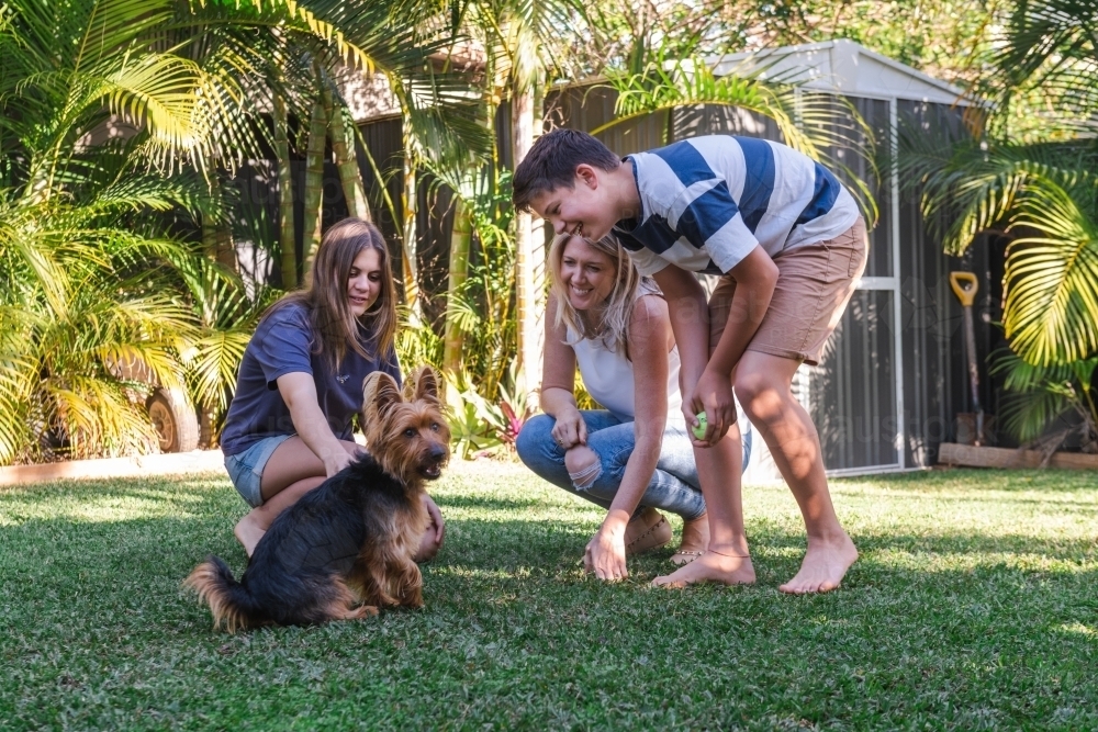 Image of family playing with their dog in the backyard - Austockphoto