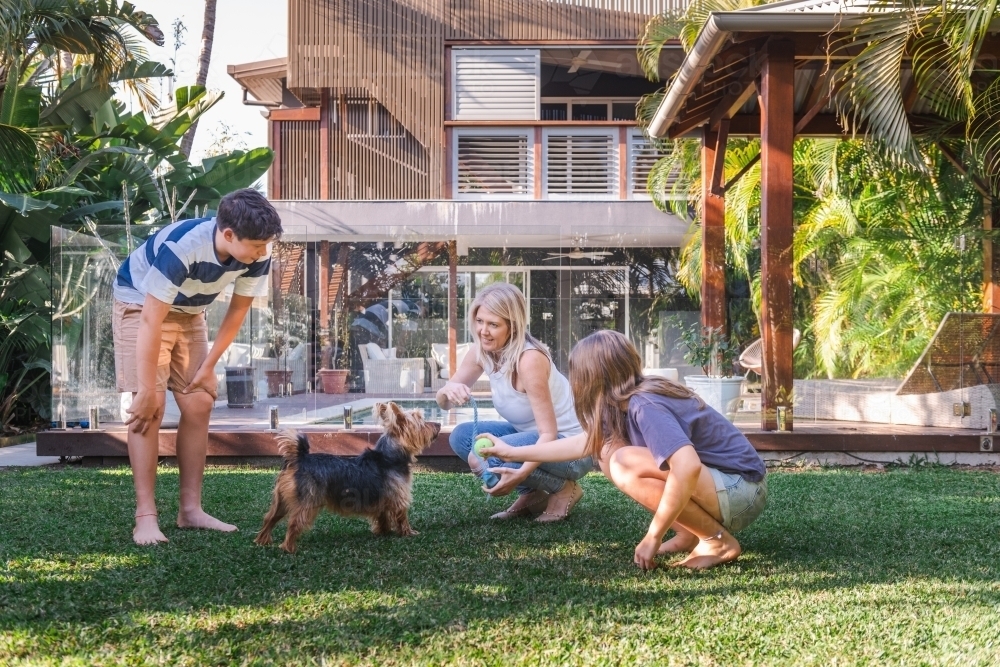 Image of family playing with their dog in the backyard - Austockphoto