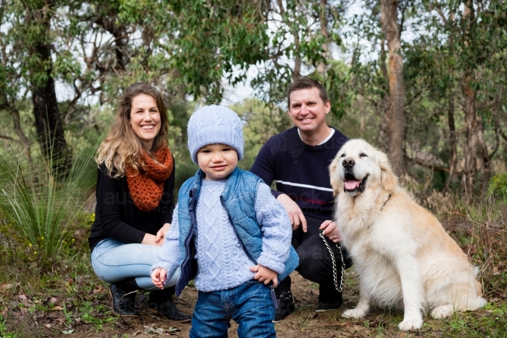 Family portrait of mother, father, toddler with a dog in bush setting - Australian Stock Image