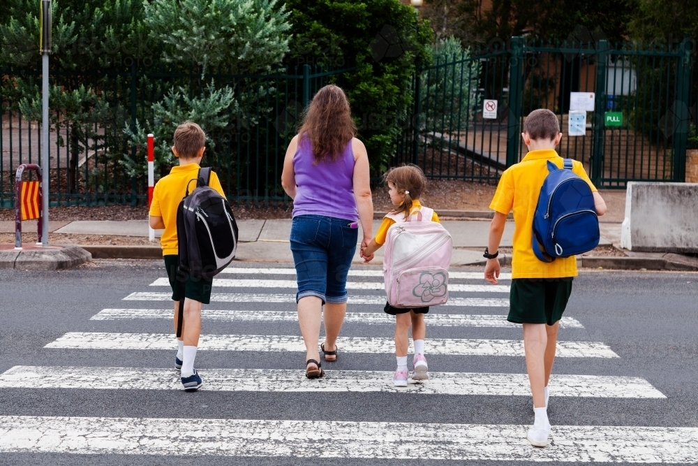 Image of Family walking across pedestrian crossing to school - Austockphoto