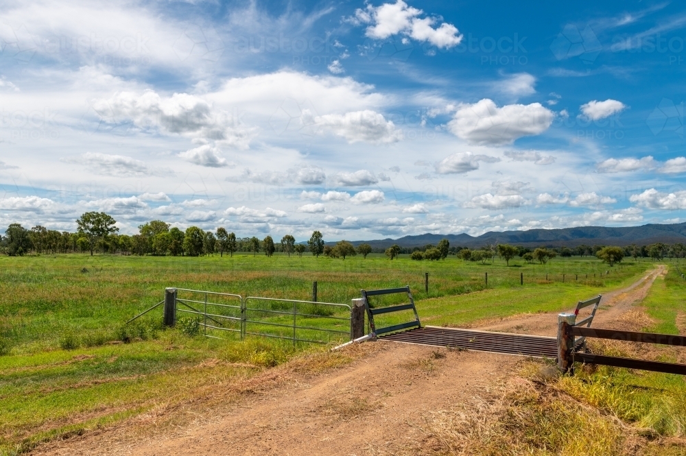 Farm access track with fences and lush summer green vegetation - Australian Stock Image