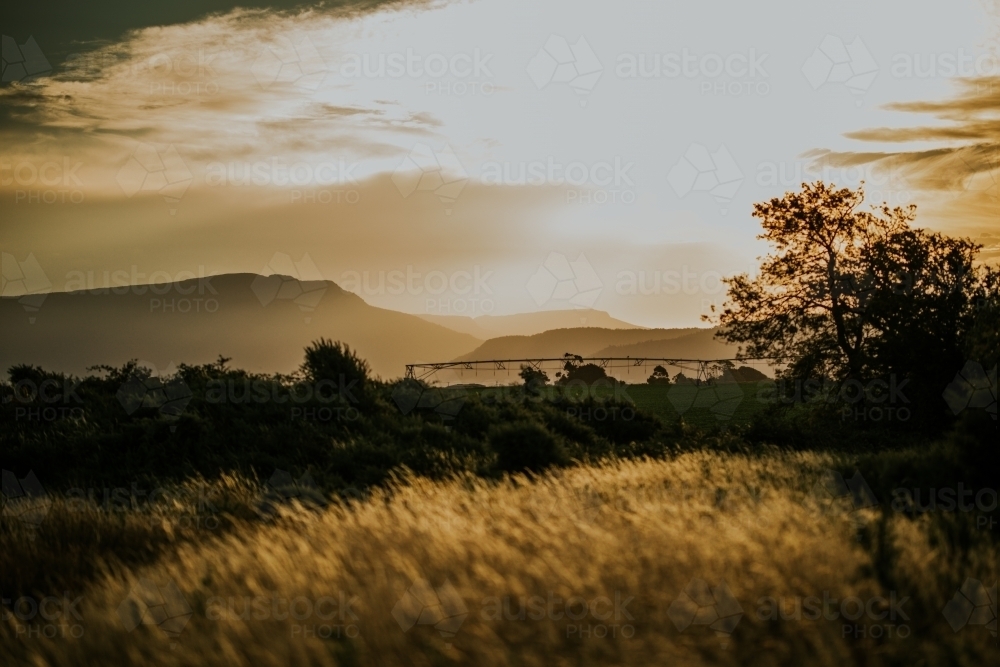 Farm at sunset - Australian Stock Image