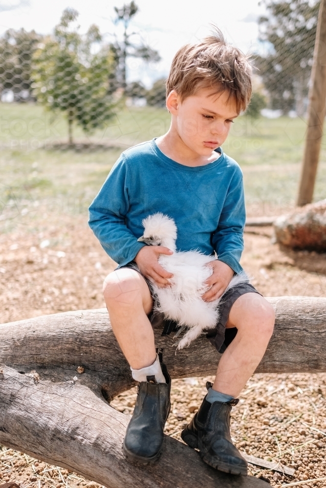 Farm boy and chicken - Australian Stock Image