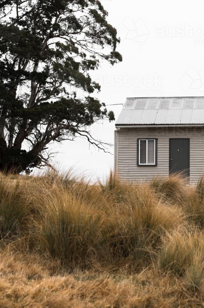 Farm building detail with grass and trees - Australian Stock Image
