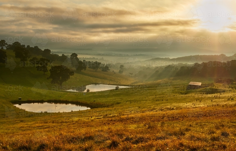 Farm Dams and Shed on a Foggy Morning - Australian Stock Image