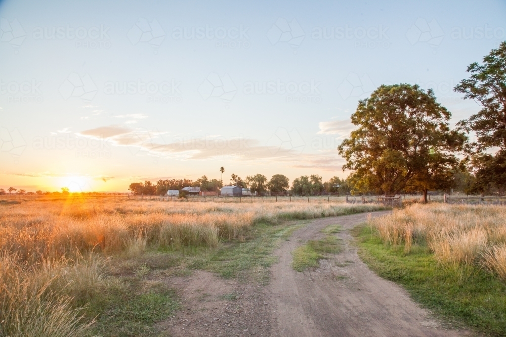 Farm driveway and paddock at sunset - Australian Stock Image