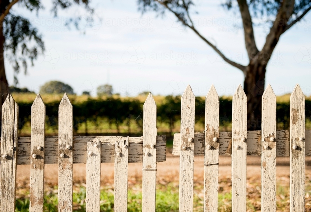 Farm fence - Australian Stock Image