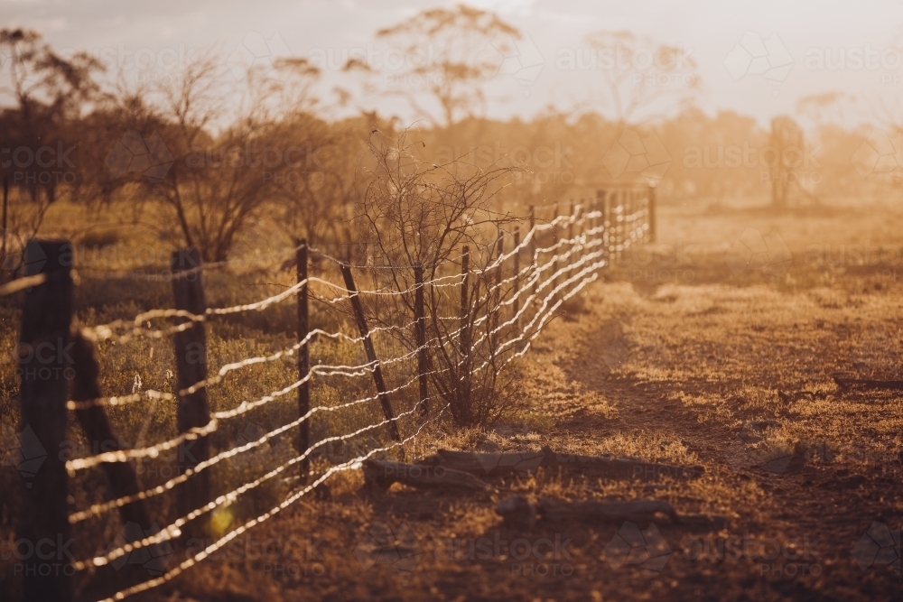 Farm fence in golden light - Australian Stock Image