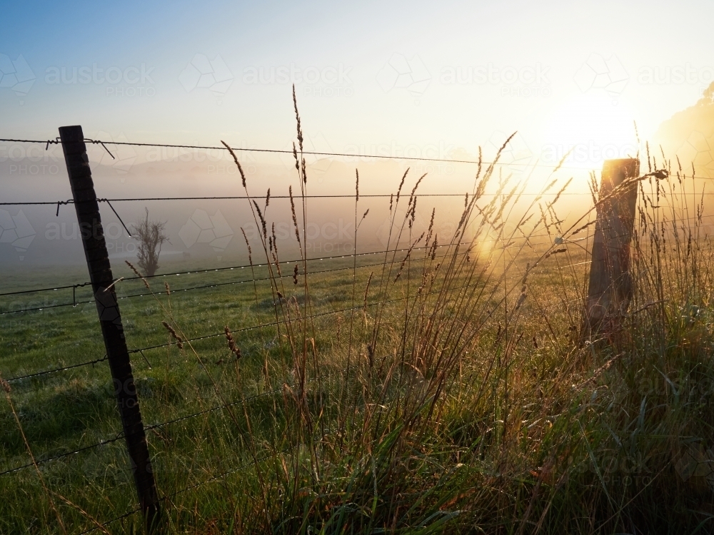 Farm Fence on Crisp Foggy Autumn Morning - Australian Stock Image