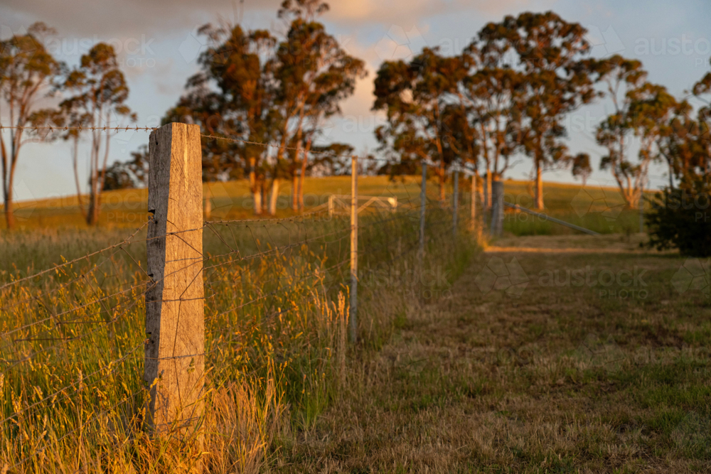 Image of Farm Fence Running Through Rural Farmland in Late Afternoon ...