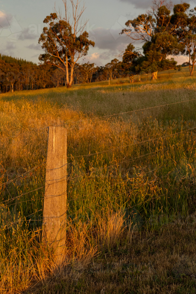 Image of Farm Fence Running Through Rural Farmland in Late Afternoon ...