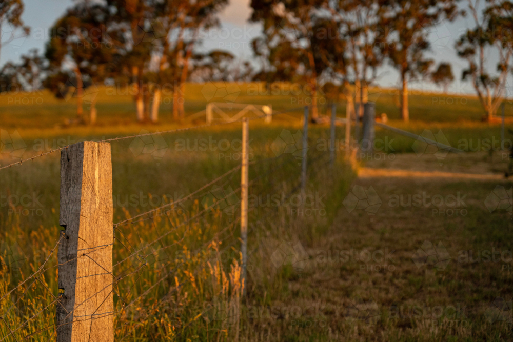 Image of Farm Fence Running Through Rural Farmland in Late Afternoon ...