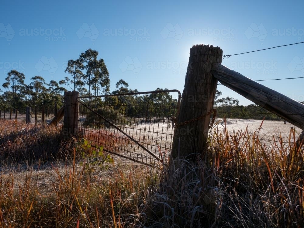 Farm gate and fence on a frosty morning - Australian Stock Image