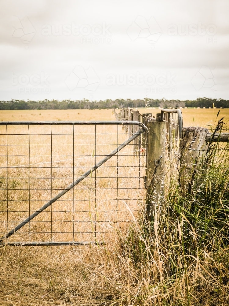 Farm gate and fencing on a country lane - Australian Stock Image