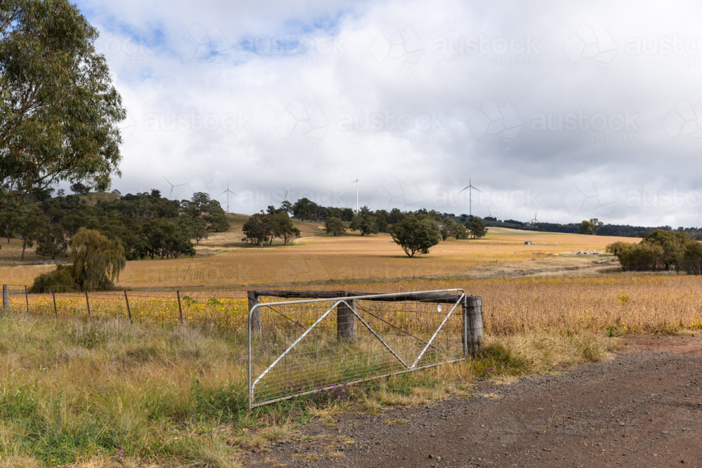 farm gate next to the highway with a wind farm on the hill - Australian Stock Image