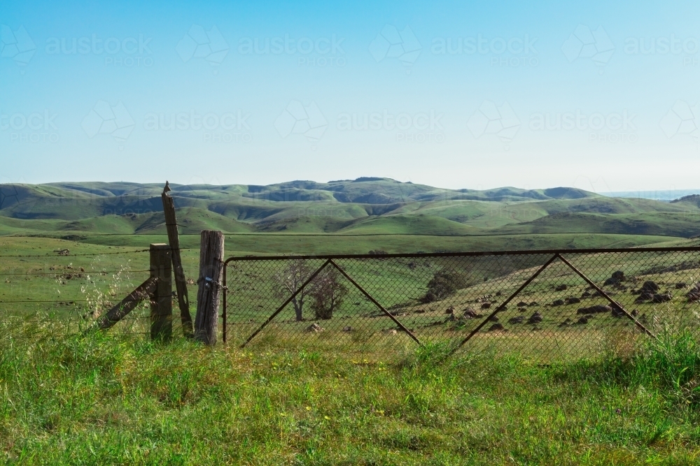 Farm gate with padlock and rolling green hills - Australian Stock Image