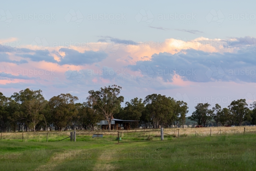 Farm gates at dusk with paddock and hay shed and eucalyptus trees - Australian Stock Image