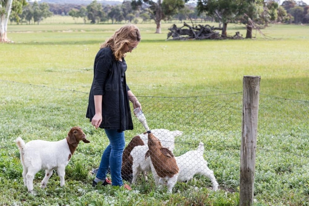 Farm girl bottle-feeding orphaned boer goat kids - Australian Stock Image