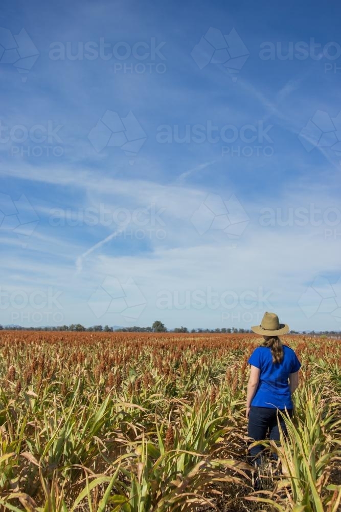Farm girl standing in a paddock of sorghum looking away - Australian Stock Image