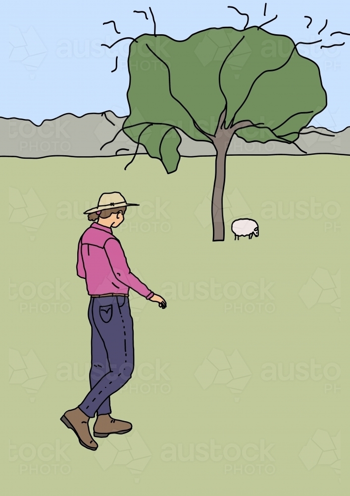 Farm girl wearing hat, pink shirt, jeans and boots walking alone across green paddock towards sheep - Australian Stock Image